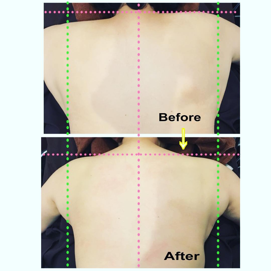 ラボ便り✉︎です〜