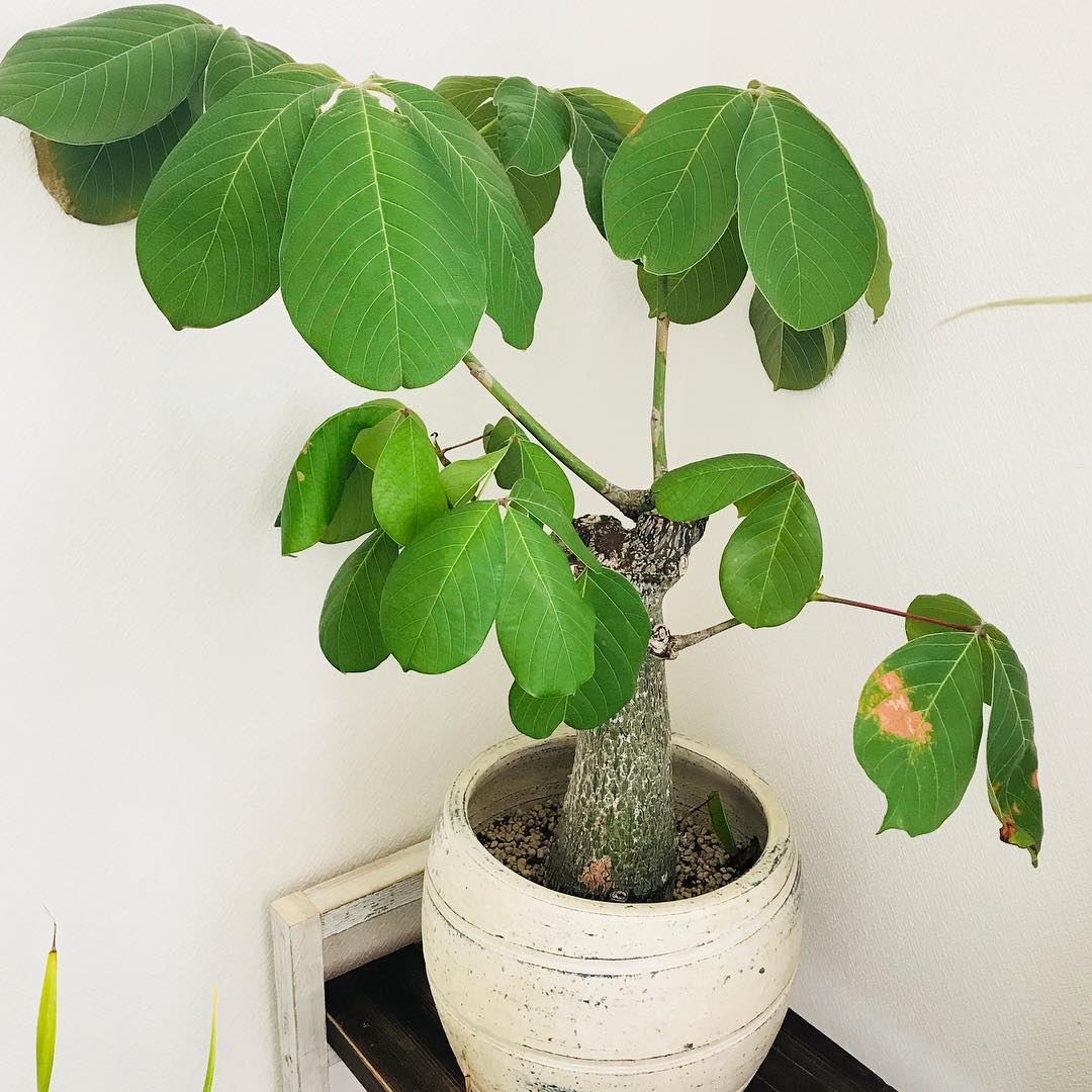 こんにちは( ¨̮ )♪